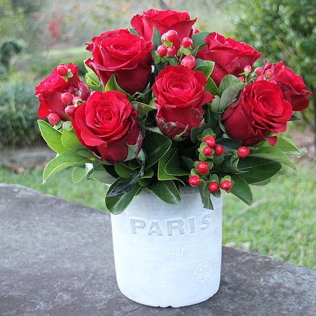 Red Roses in Pot