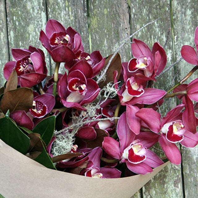 Winter Orchids with Free Candle (Sydney Only)