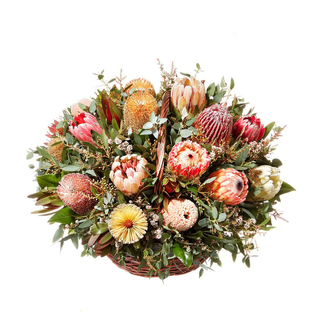 Native Flower Basket Arrangement