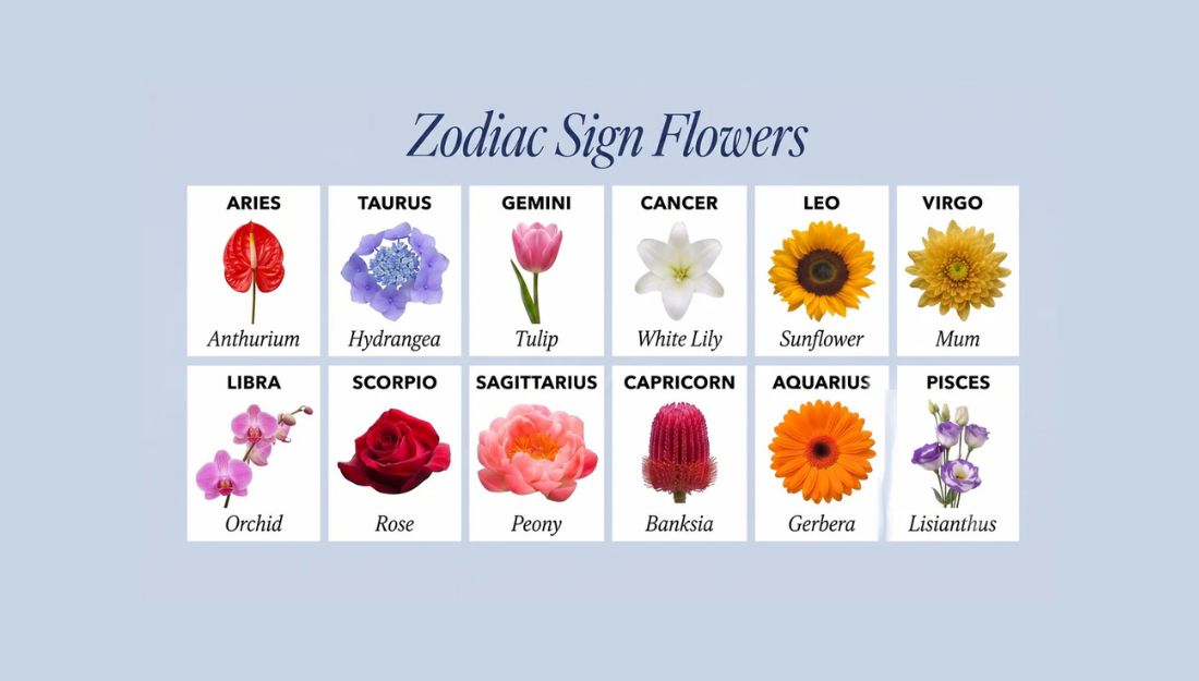 Zodiac Flowers: The Perfect Flower for Every Star Sign