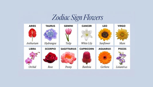 Zodiac Flowers: The Perfect Flower for Every Star Sign