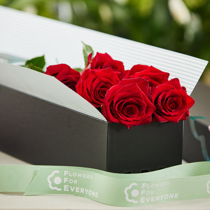 6 Red Rose Box