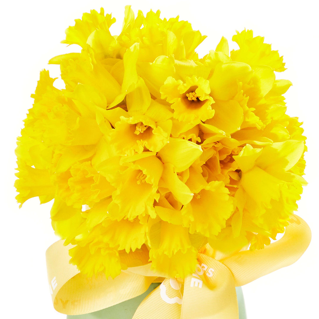 Joyful Daffodil Vase