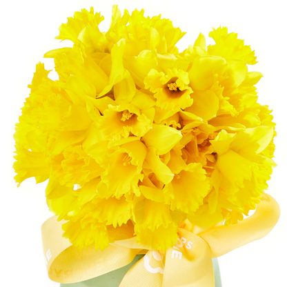 Joyful Daffodil Vase