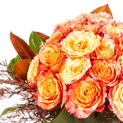 Free Spirit Rose Vase