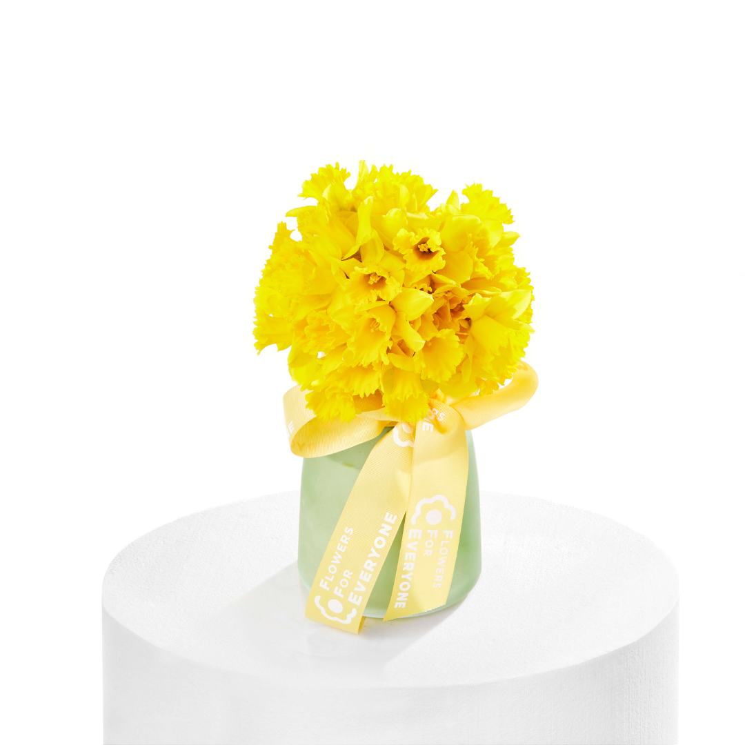 Joyful Daffodil Vase