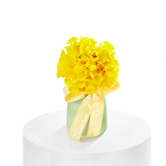 Joyful Daffodil Vase