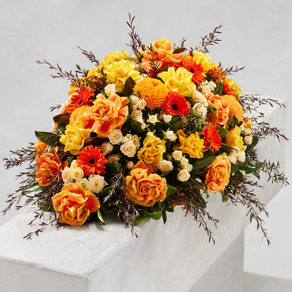 MODERN AUTUM CASKET
