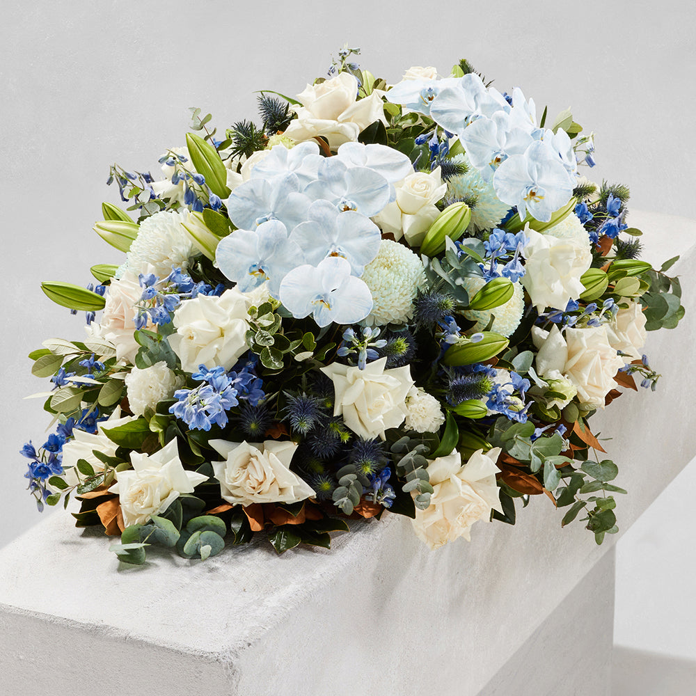 MODERN WINTER CASKET