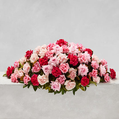 CLASSIC MIXED PINK ROSE CASKET