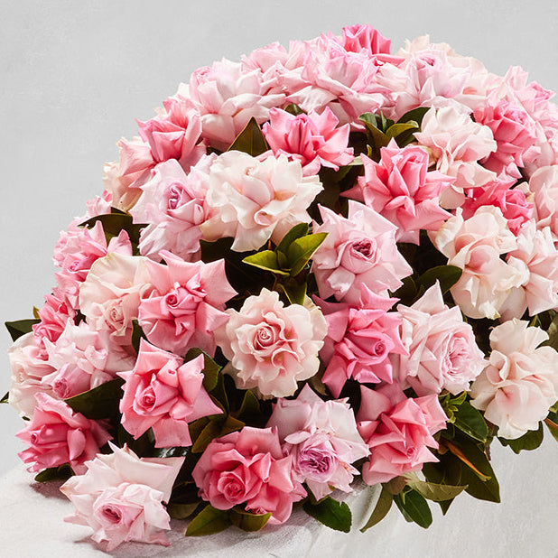 CLASSIC PALE PINK ROSE CASKET