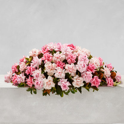 CLASSIC PALE PINK ROSE CASKET