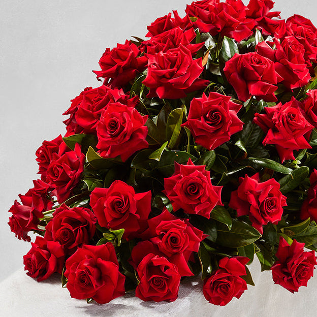 CLASSIC RED ROSE CASKET