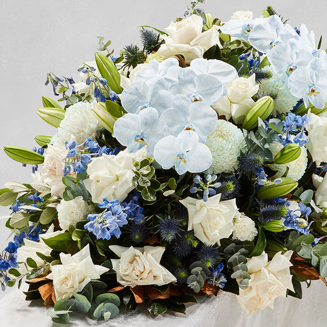 MODERN WINTER CASKET