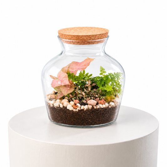 Tropical Terrarium with lush green and pink plants layered with pebbles and soil in a cork topped glass jar for stylish indoor plant decor