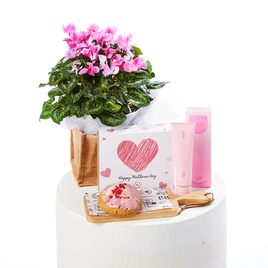 Mother's Day Cyclamen Combo