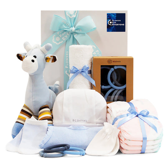 Baby Boy Welcome Hamper