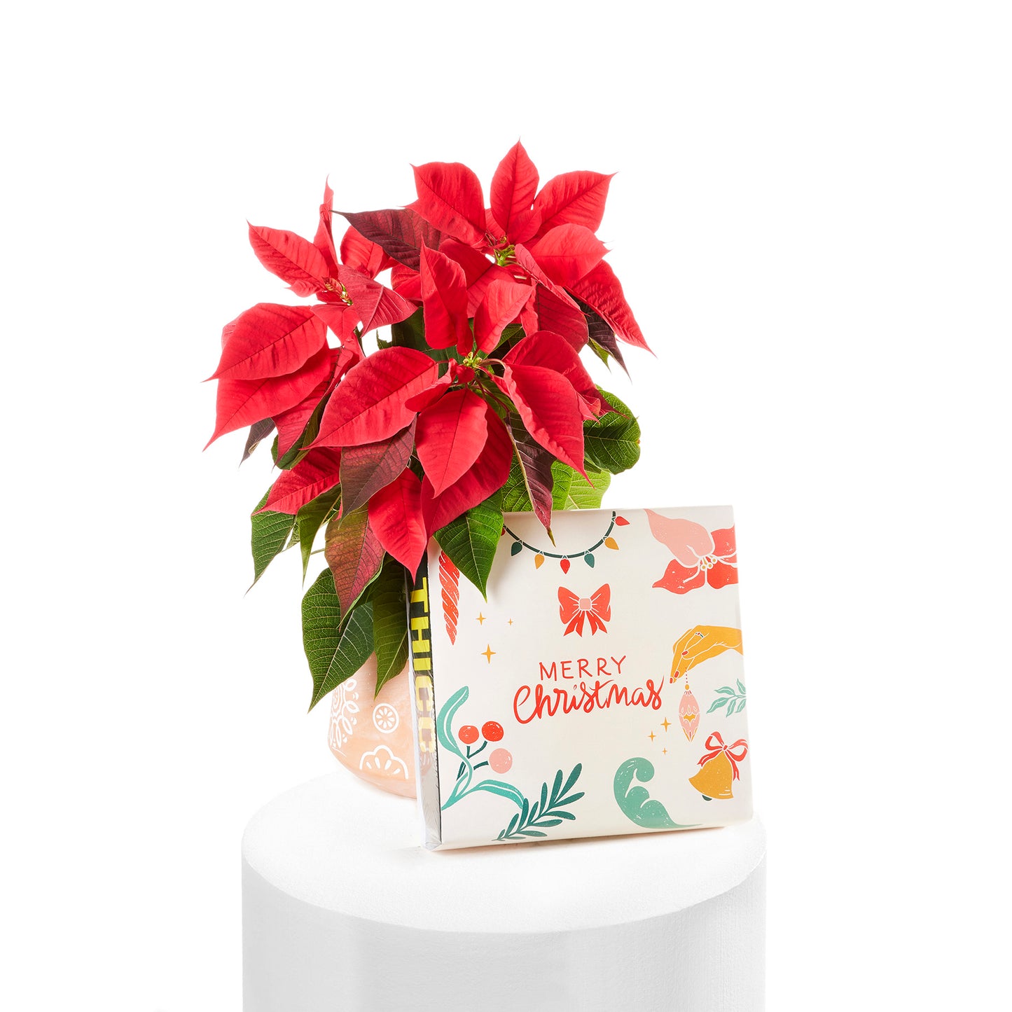Poinsettia & Cookie Christmas Gift