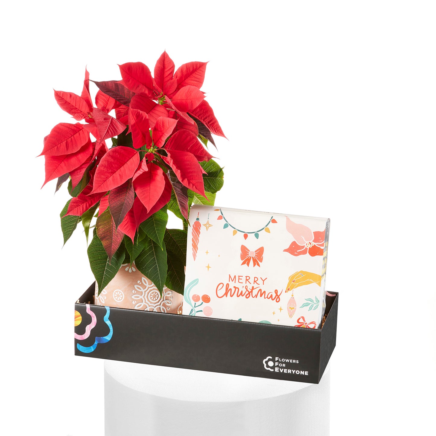 Poinsettia & Cookie Christmas Gift