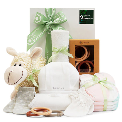 New Baby Celebration Hamper