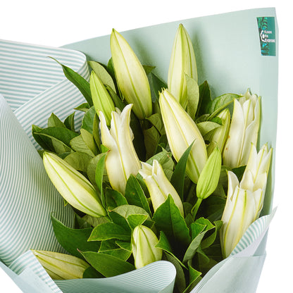 white oriental lilies meaning Perfumed White Oriental Lilies