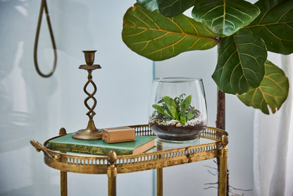 Terrarium & Ecoya Gift Set
