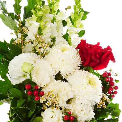 Christmas Red & White Pot