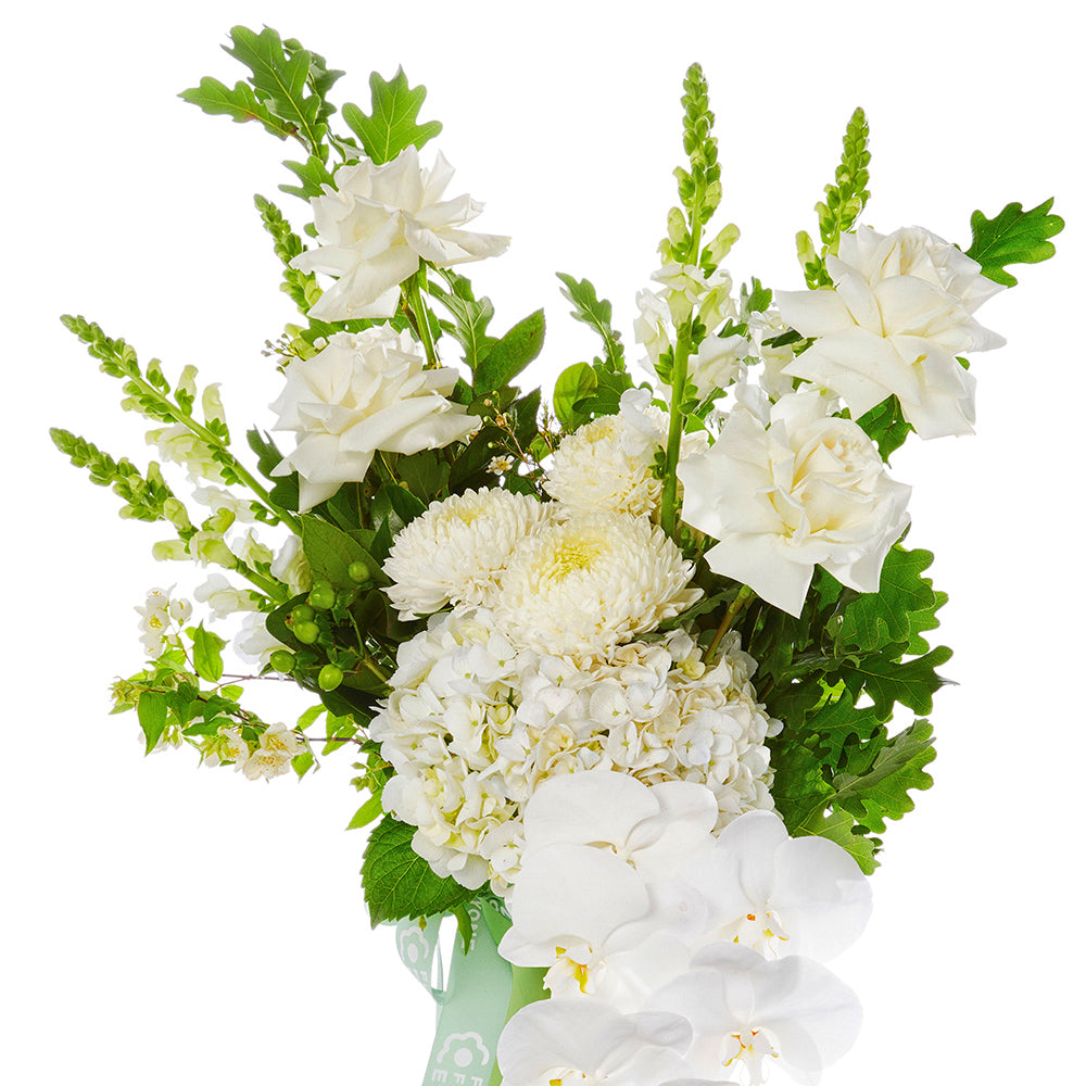 White Christmas Orchid Elegance Vase