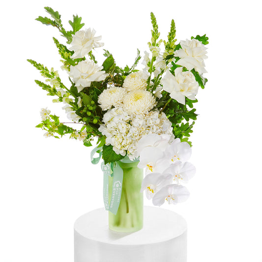 White Christmas Orchid Elegance Vase