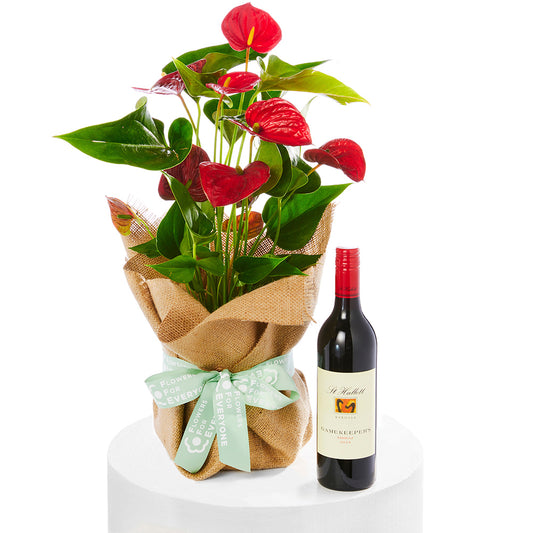 Christmas Anthurium & Wine Gift Set