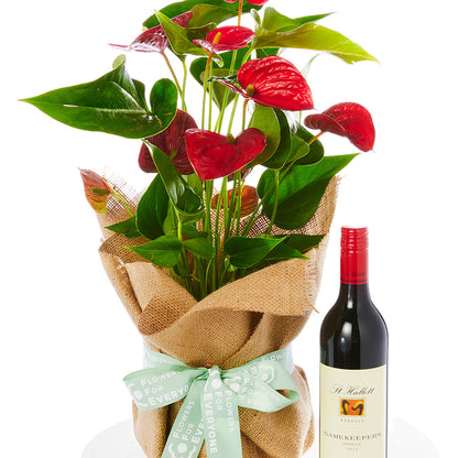 Christmas Anthurium & Wine Gift Set
