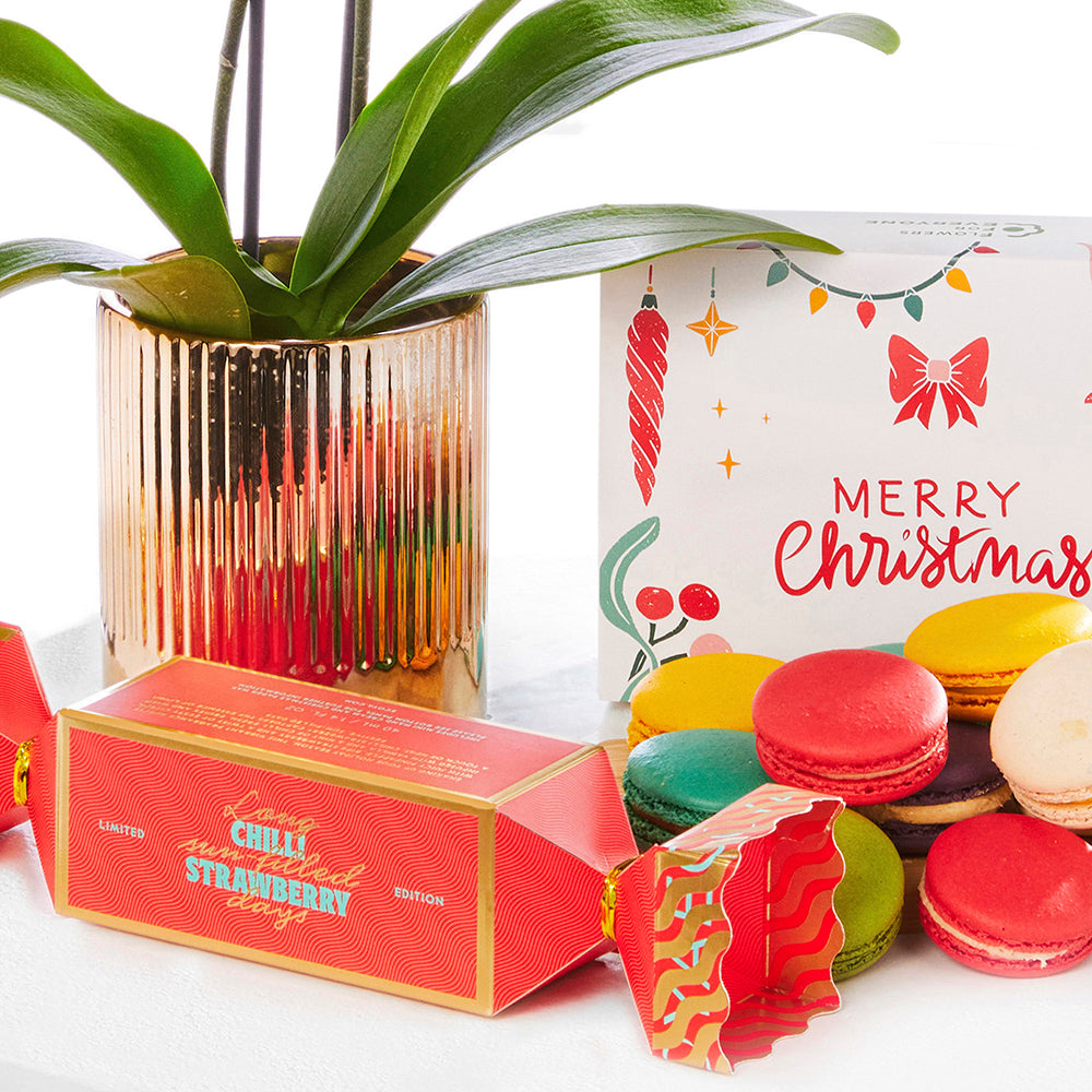 Christmas Orchid Trio Gift Set