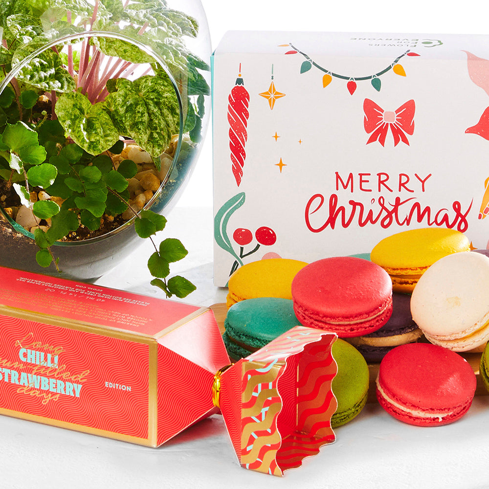 Christmas Terrarium Trio Gift Set