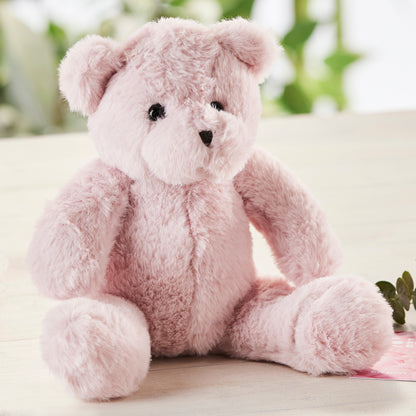Soft Pink Teddy Bear