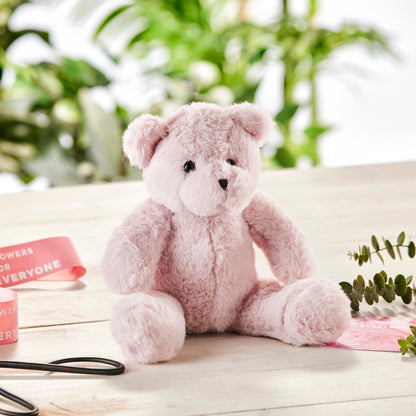 Soft Pink Teddy Bear
