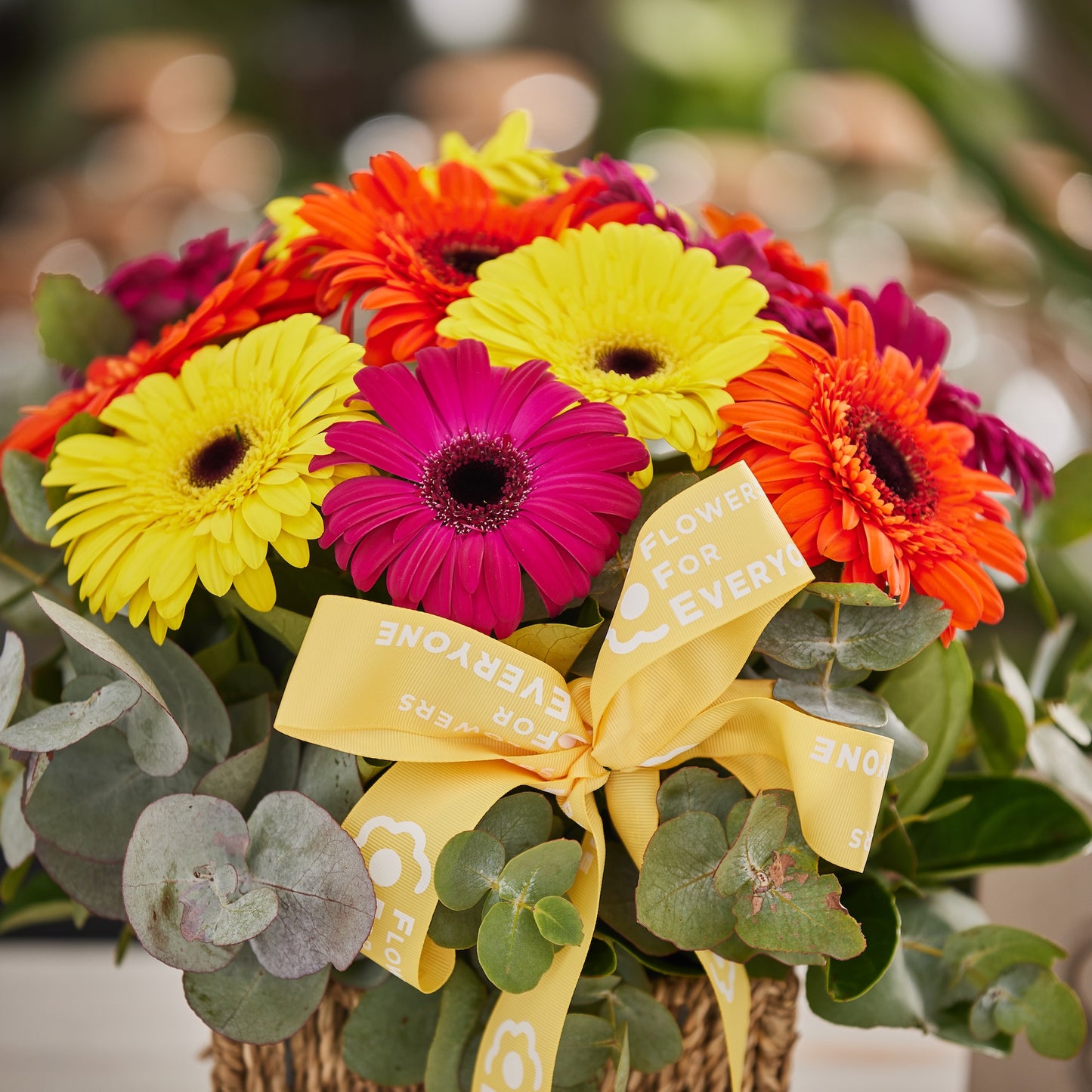 Fresh Gerbera Basket