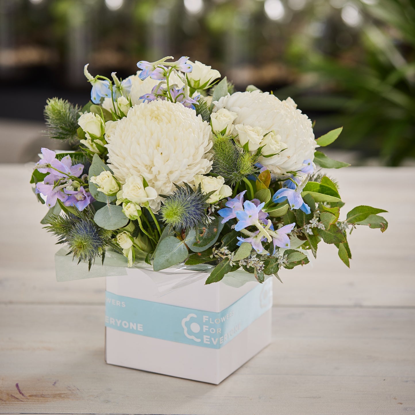 Sky Blue Flower Box