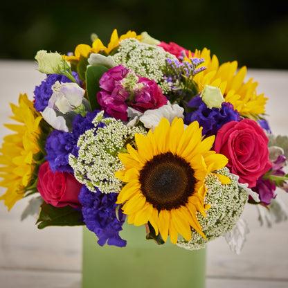 The Vase of Colour