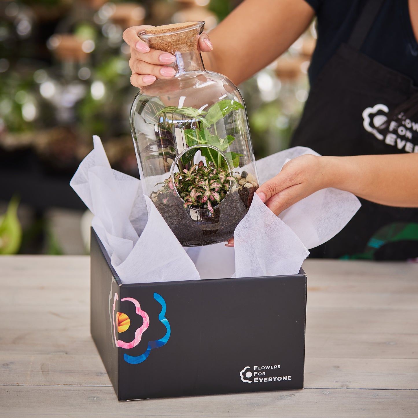 Terrarium Treasure