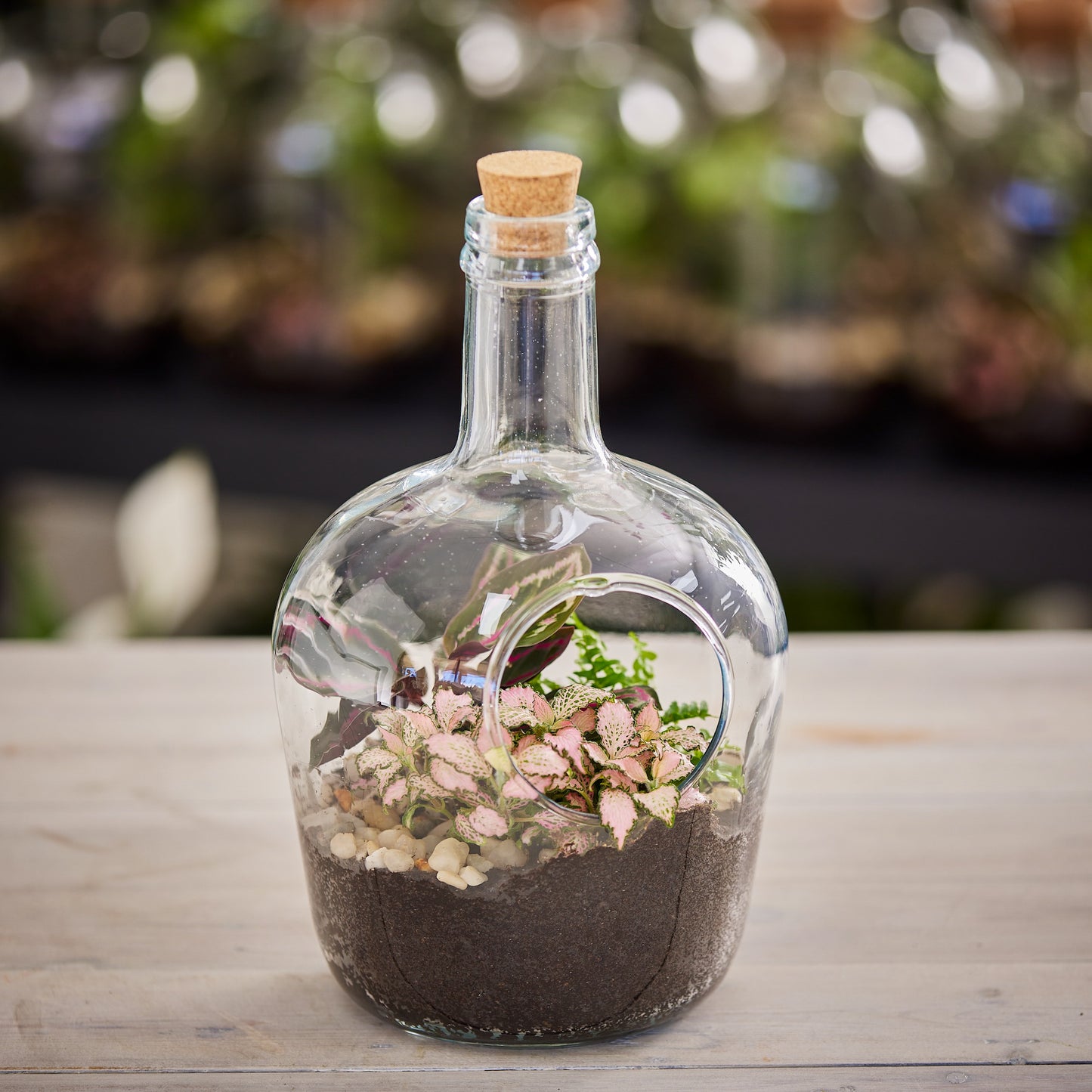 Life In Colour Terrarium