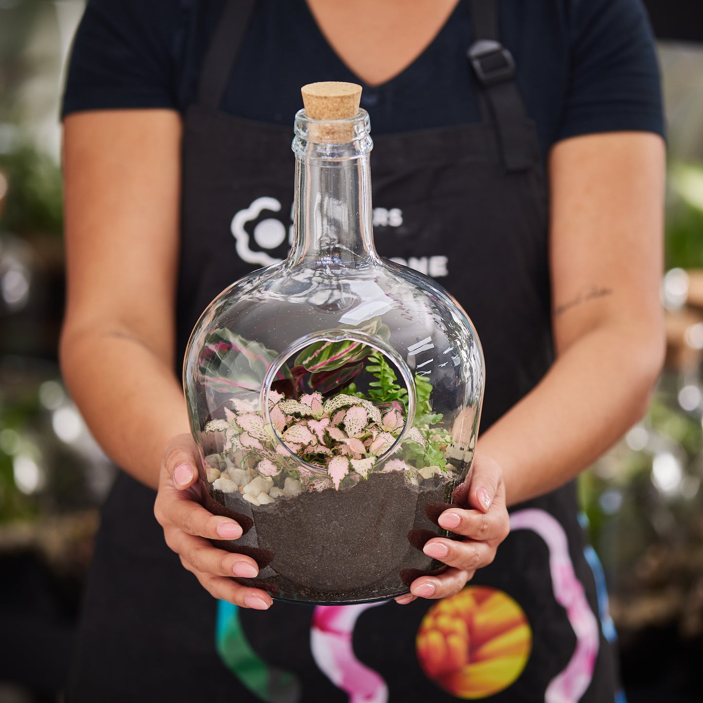 Life In Colour Terrarium