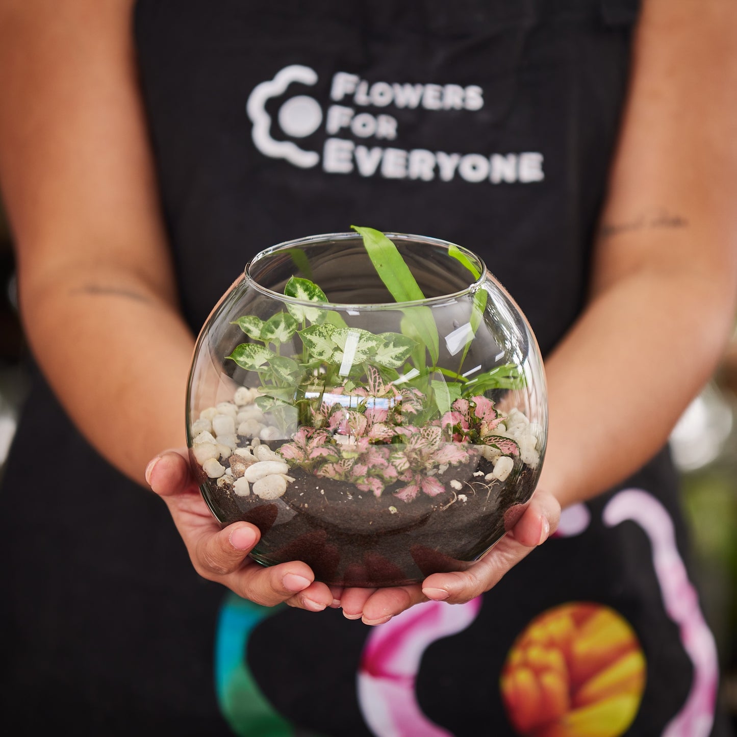 Evergreen Terrarium