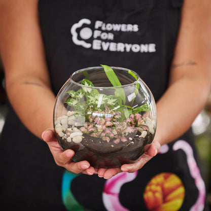 Evergreen Terrarium