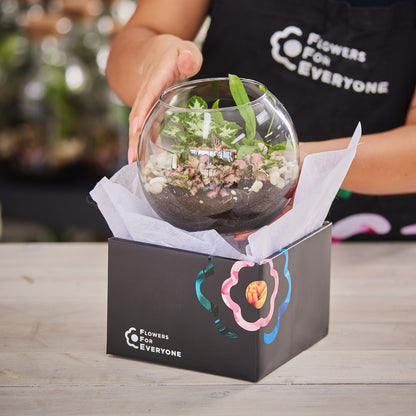 Evergreen Terrarium