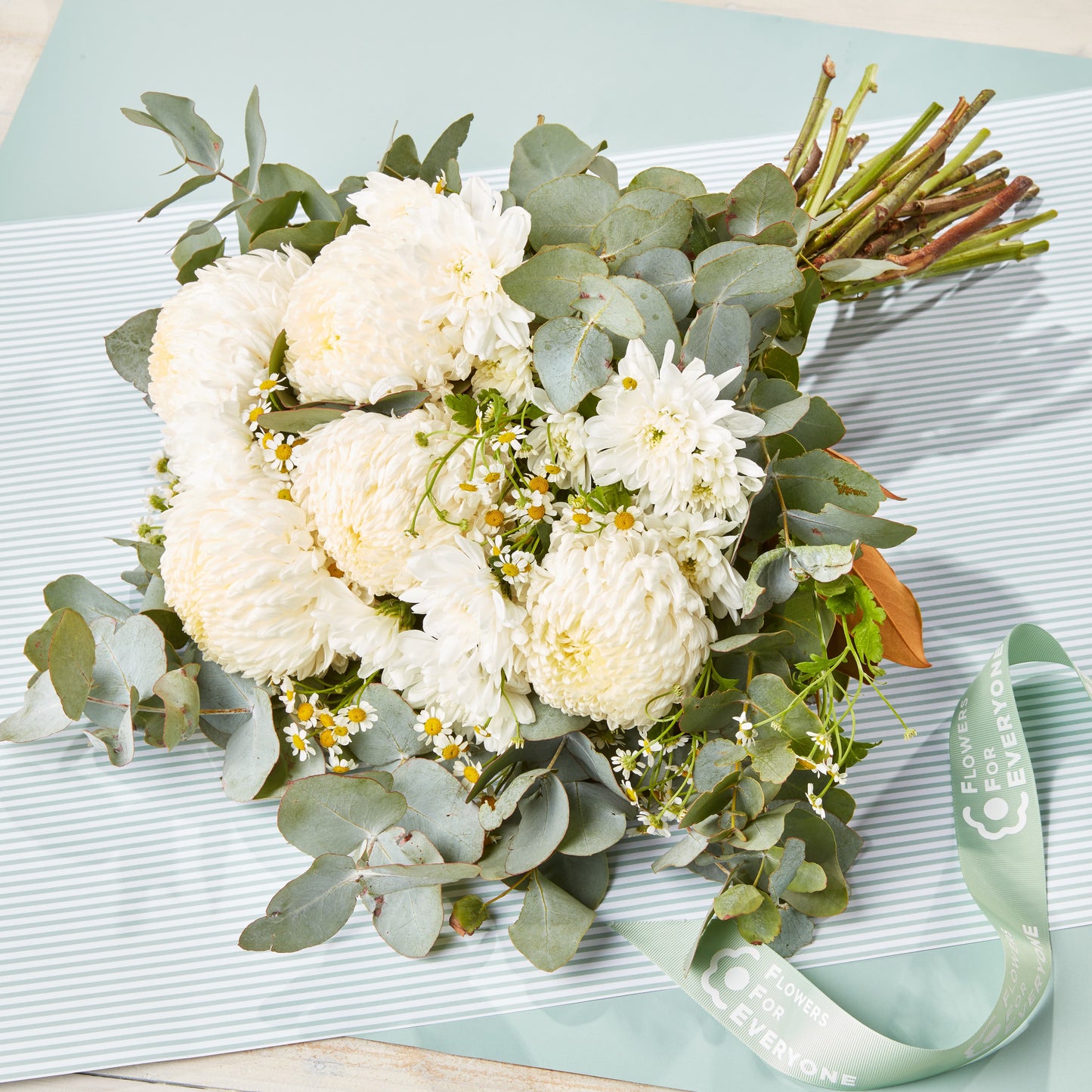 White chrysanthemum bouquet with delicate daisies, eucalyptus foliage and greenery arranged on striped paper with a green Flowers for Everyone ribbon