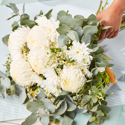 Soft Ivory Bouquet