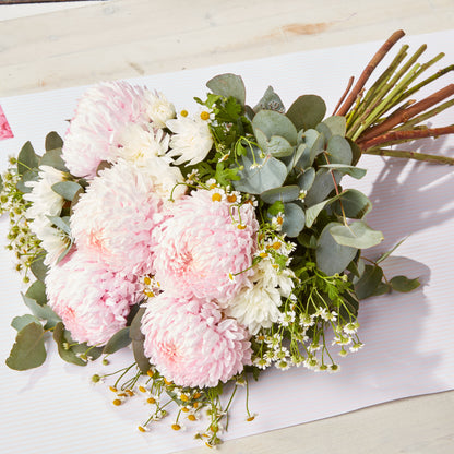 Soft pink chrysanthemums and white daisies with eucalyptus foliage arranged as a fresh bouquet on pale paper for special occasion flowers and gifting