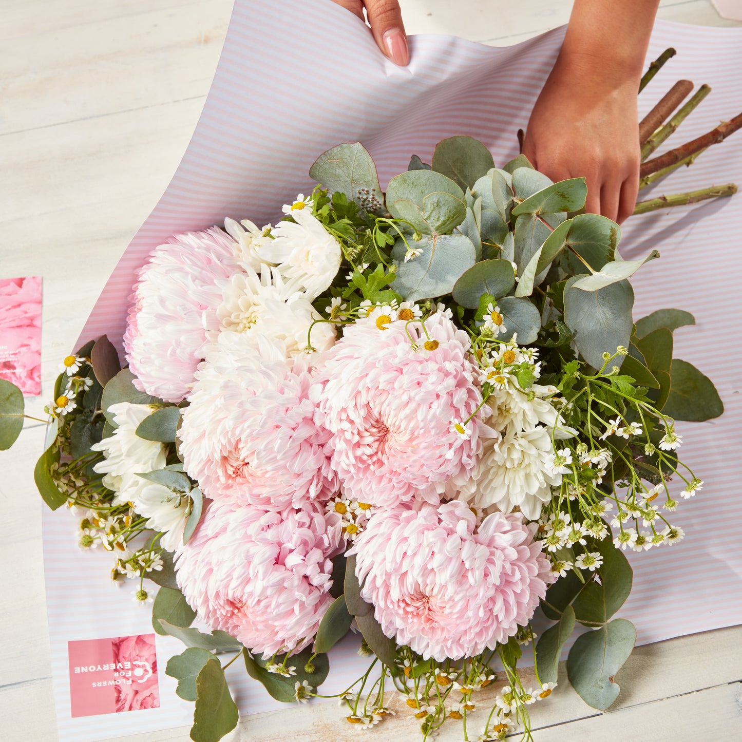 Hands wrapping a bouquet of soft pink chrysanthemums, white daisies, eucalyptus and delicate filler flowers in pale striped paper for special occasion flowers
