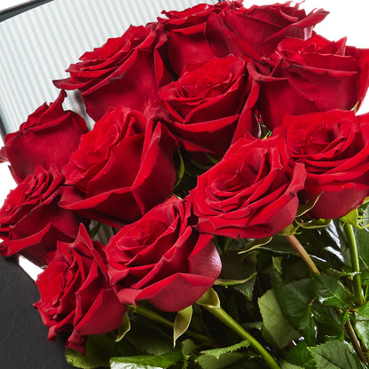 12 Red Roses with Brownie