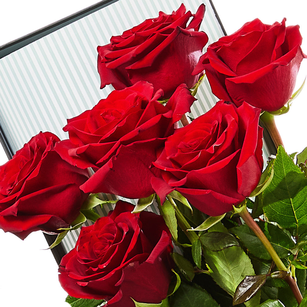 6 red roses with brownie